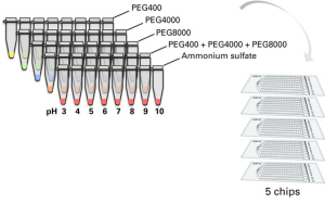 Crystal Chip Screening Kit