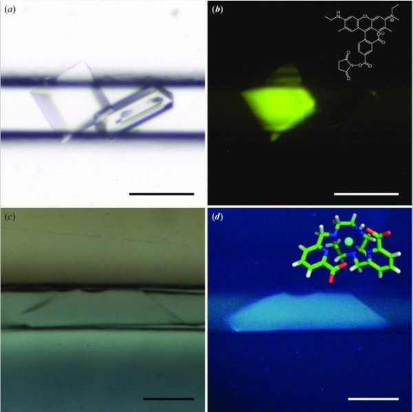 Crystal Detection in Crystal Chip by Fluorescence