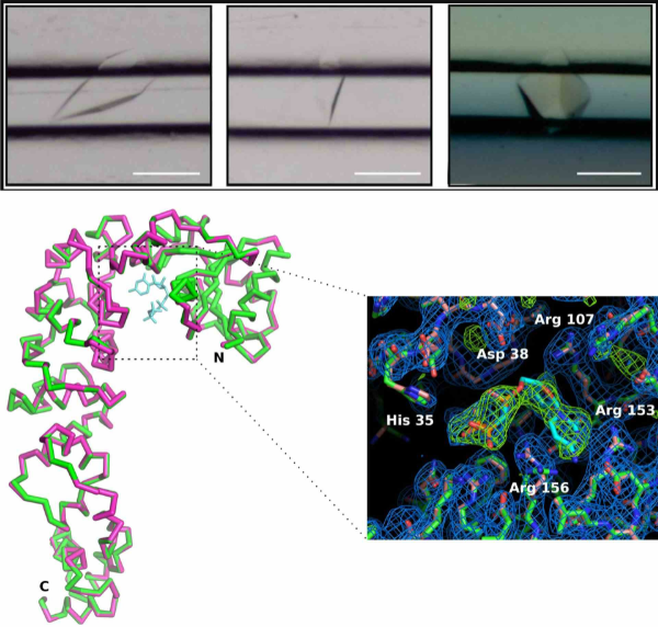 Enzyme Substrate Binding Using Crystal Chip