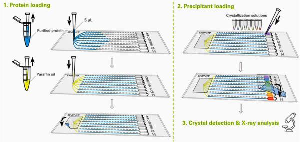 How To Use Crystal Chip