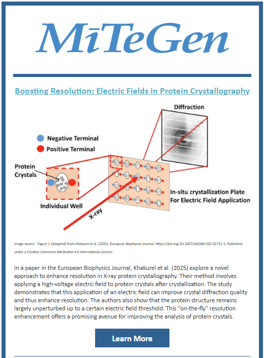 MiTeGen March 2025 Newsletter